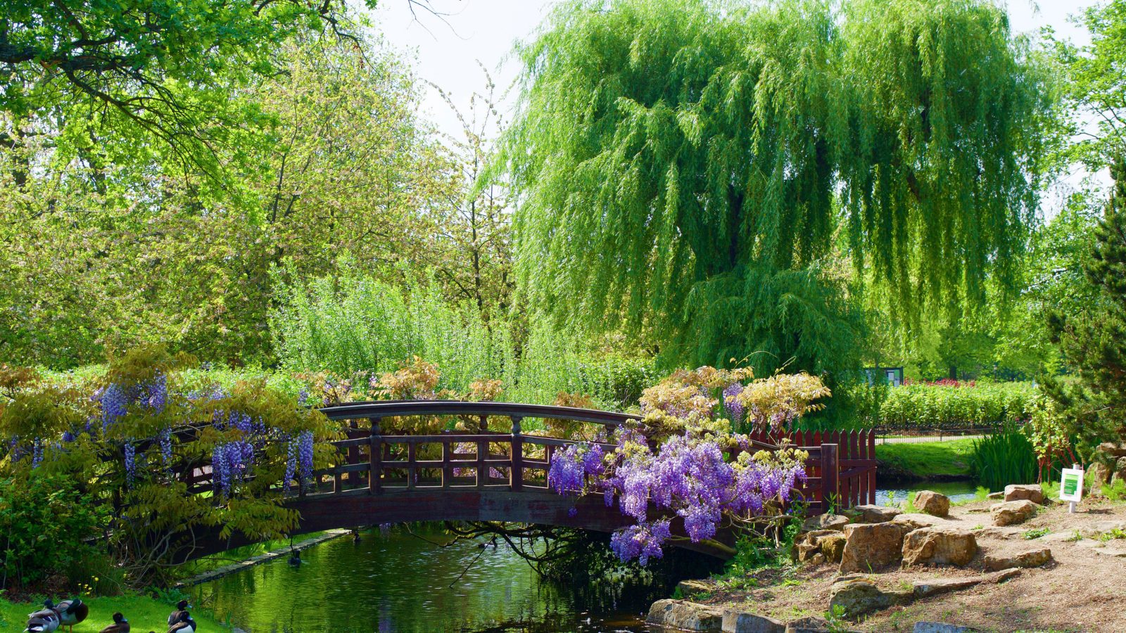 Meaning Picnic at Diane Boatwright blog